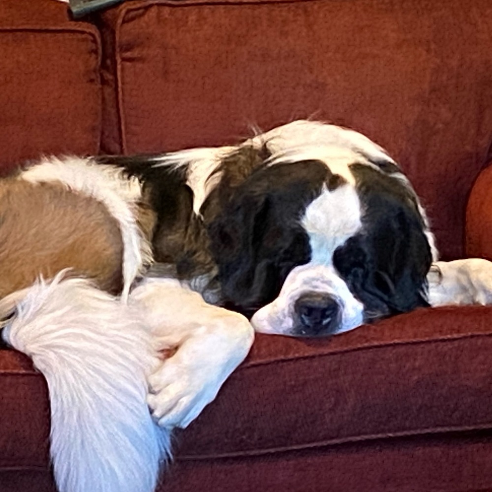 Meet your Posher, Tara